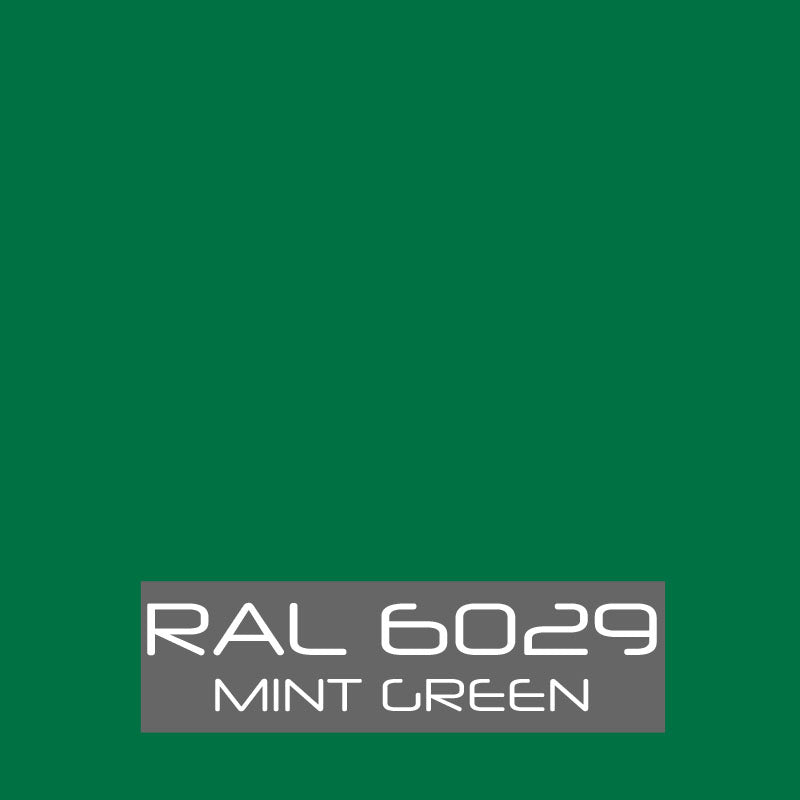 RAL 6027 Light green